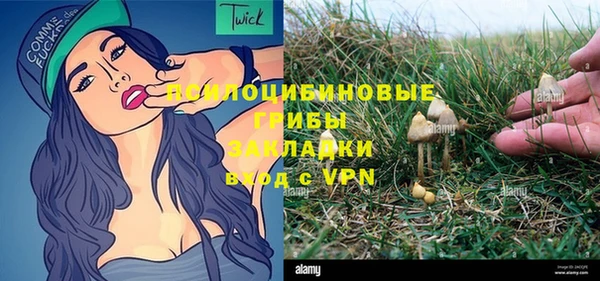 бошки Алексин