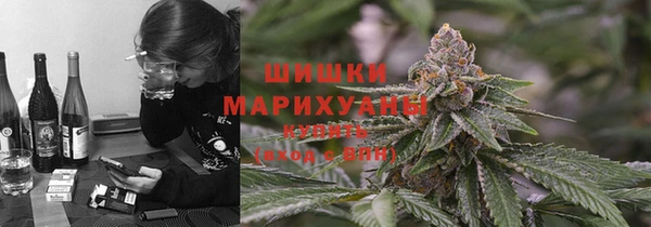 бошки Алексин