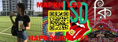 крисы Новокубанск