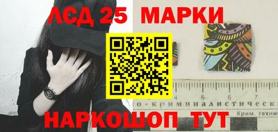крисы Новокубанск