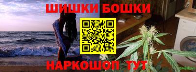 крисы Новокубанск