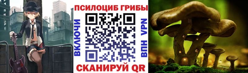Псилоцибиновые грибы MAGIC MUSHROOMS  Южно-Сахалинск 