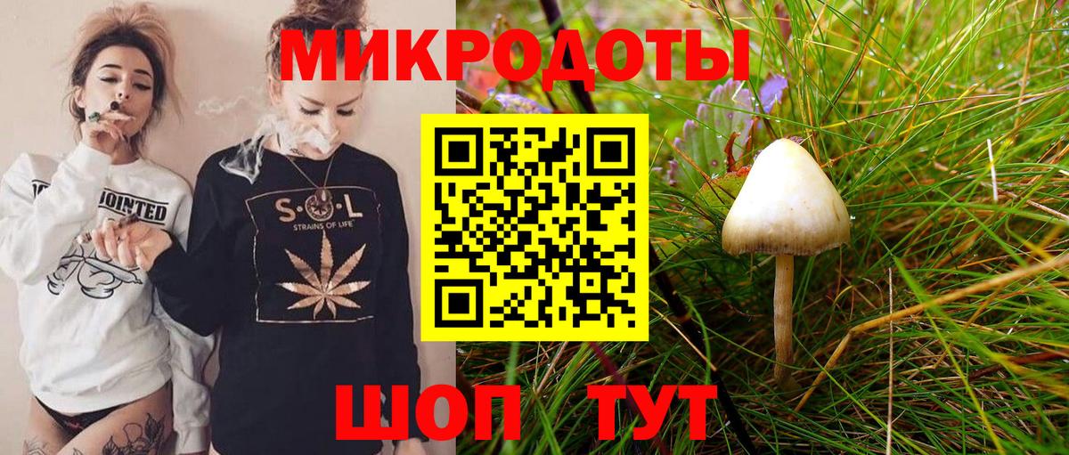 Псилоцибиновые грибы Cubensis Южно-Сахалинск